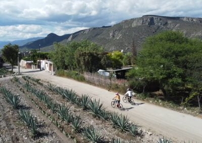 Ebike Dainzu Tour Oaxaca Mezcal Biking 7