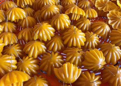 Muertos Oaxaca Tour Culture 11 1