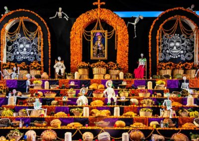 a display of a large display of flowers and skeletons