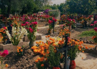 a cemetery with many flowers