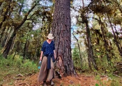 forest oaxaca ixtepeji tour