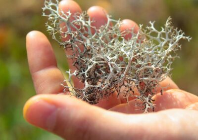 hike travel sierra norte tours oaxaca 9