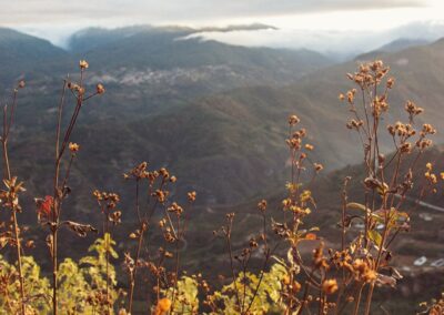 hiking oaxaca tours sierra norte