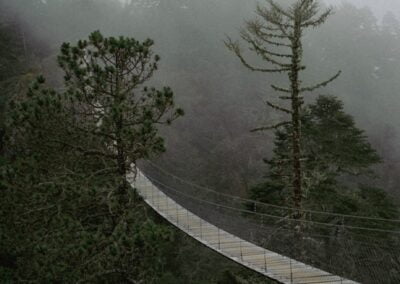 Hanging bridge at the top of the mountains