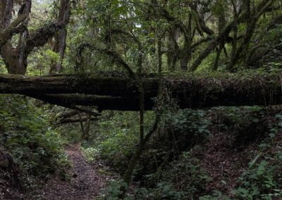 ixtepeji oaxaca hiking