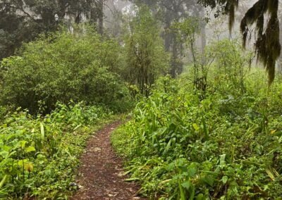 ixtepeji sierra norte oaxaca tour