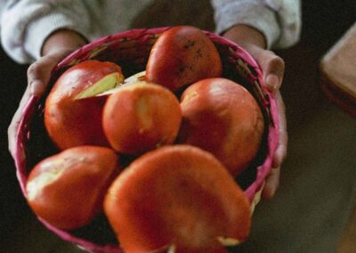 Epic hike in the Sierra Norte from Benito Juárez to Cuajimoloyas 6 Red mushrooms