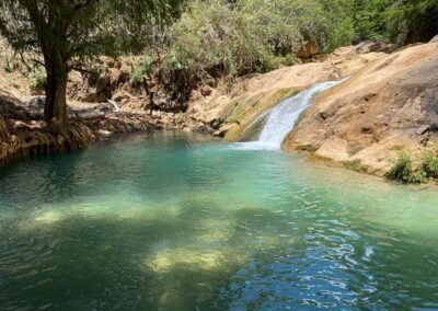 Hike & Swim @ Iconic Apoala Waterfalls 10 Lagoon with blue water and the tree on the edge of it