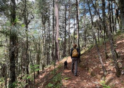 oaxaca tour hiking forest