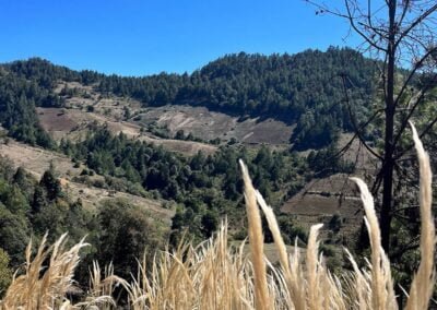 Epic hike in the Sierra Norte from Benito Juárez to Cuajimoloyas 8 A view from Sierra Norte hiking