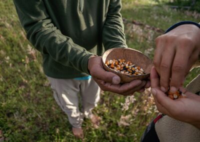 pueblos mancomunados oaxaca