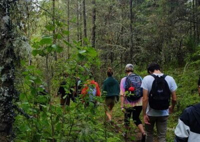 Epic hike in the Sierra Norte from Benito Juárez to Cuajimoloyas 10 A group of people hiking in a mountain