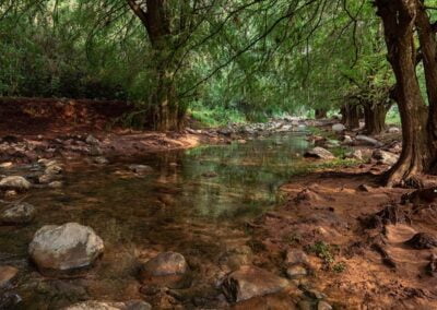 Hike & Swim @ Iconic Apoala Waterfalls 13 A clear river with trees around it