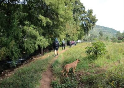 Hike & Swim @ Iconic Apoala Waterfalls 7 A group of people hiking