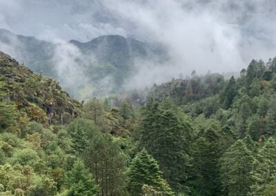 Epic hike in the Sierra Norte from Benito Juárez to Cuajimoloyas 16 travel oaxaca sierra norte