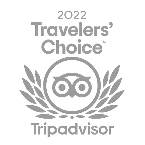 trip trip
