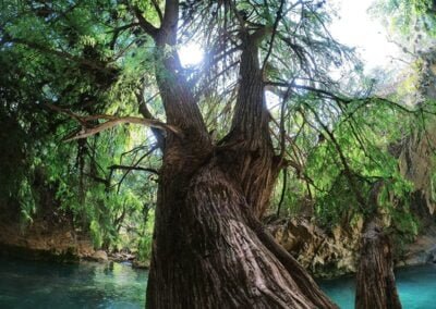 Apoala Hiking Oaxaca Tours 7