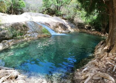 Apoala Hiking Oaxaca Tours 8