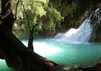 Apoala Hiking Oaxaca Travel Tours 6