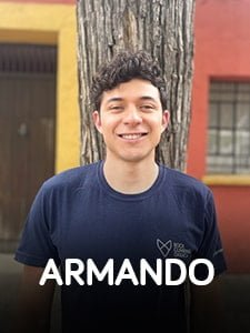 Armando