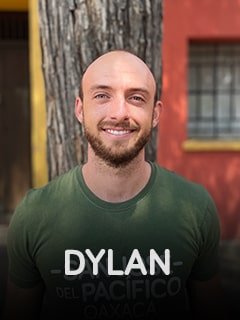 Dylan