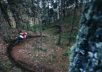 A person mountain biking in the forest