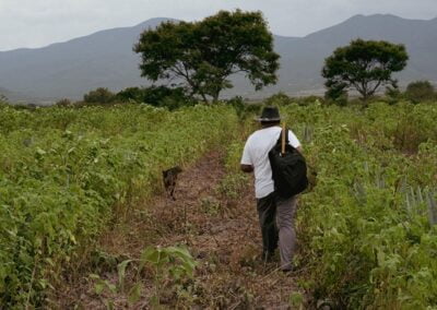 Mezcal Tour Oaxaca Travel