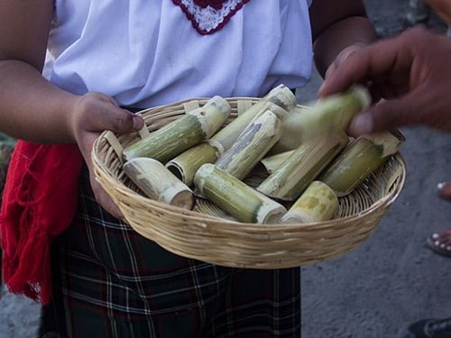 Mezcal Tour whats included