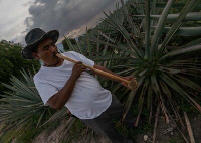 A man in a mezcal field with a tool