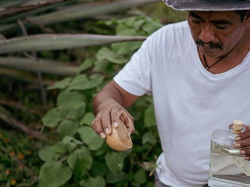 Oaxaca Mezcal notes