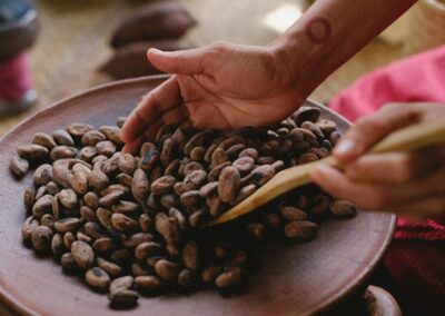 A person scooping out cocoa beans with hand and a wooden spoon
