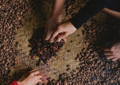 People's hands taking chocolate beans