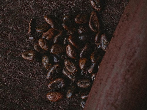 cacao circle itinerary 1