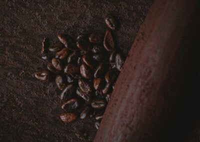 Cacao Beans
