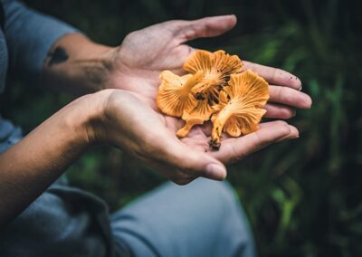 Senderismo en la Sierra Norte, Cuajimoloyas 1 cuajimoloyas hike