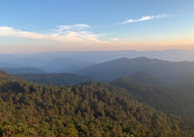 View of mountains and forests from above