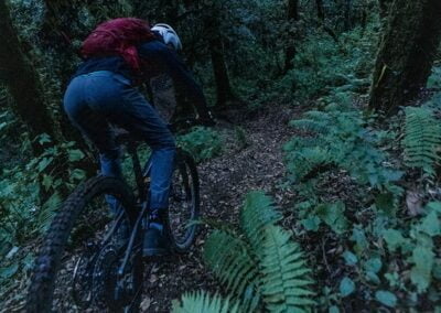 Mountain biking at night