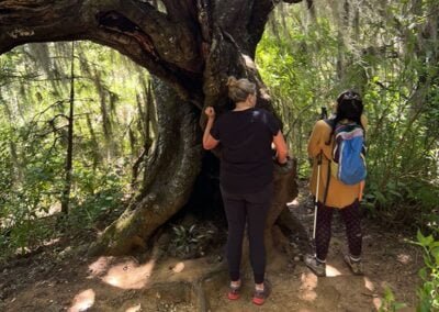 hike mushrooms experience