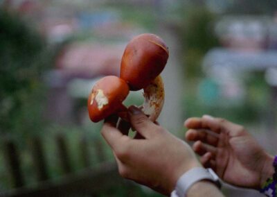 hiking oaxaca mushroom