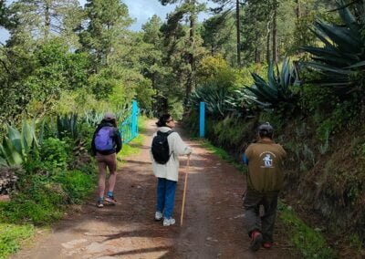 hiking oaxaca sierra