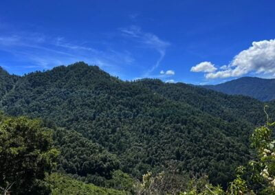 magic mushroom hike oaxaca