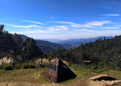 magic mushroom oaxaca tour
