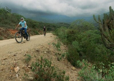 A group of people doing mountain biking
