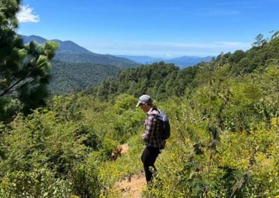 mushroom experience oaxaca