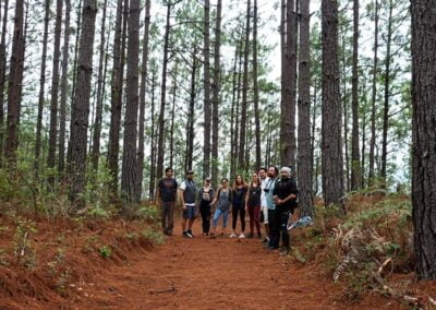 mushroom hike oaxaca
