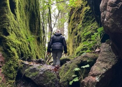 sierra norte hiking oaxaca traveling