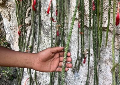 Epic hike on ancient trail, Latuvi - Lachatao 12 travel oaxaca hike sierra norte