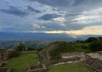 Monte Alban Tours Oaxaca coyote