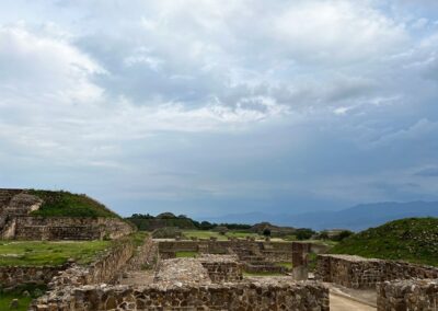 Monte Alban coyote