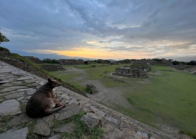 Tours Monte Alban